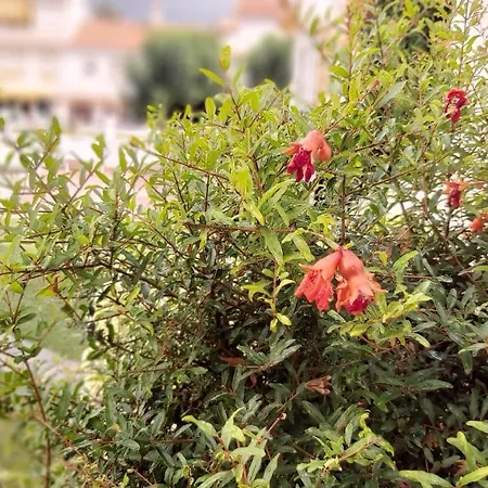 Appartement Del Parque Flats Meseta Swimmingpool Torremolinos