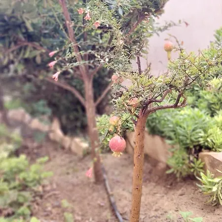 Del Parque Flats Meseta Swimmingpool *