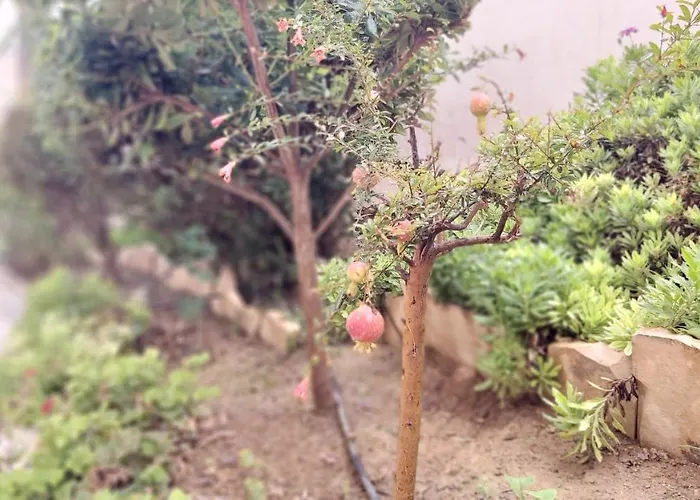 Del Parque Flats Meseta Swimmingpool *